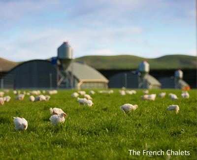 Bostocks free range chicken